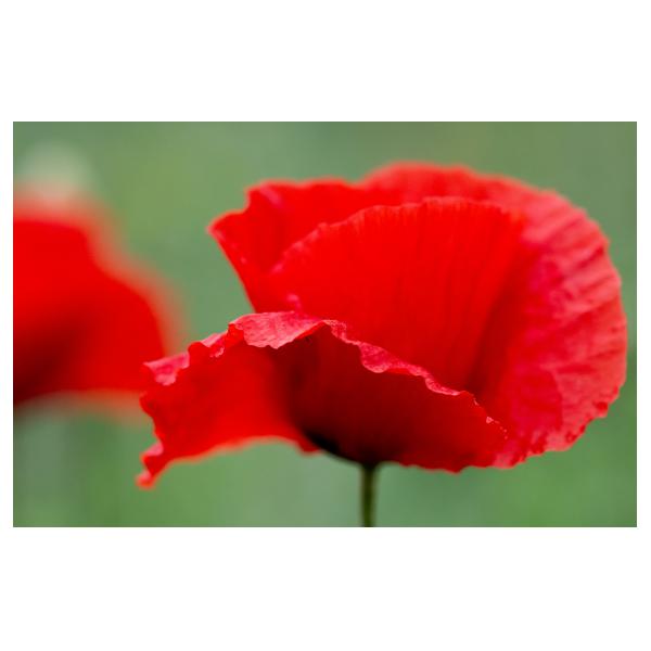 PHOTO84, CLUB, 84 , LUBERON